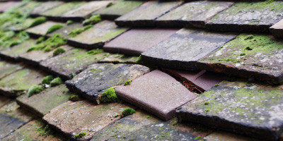 Earl Shilton roof repair costs